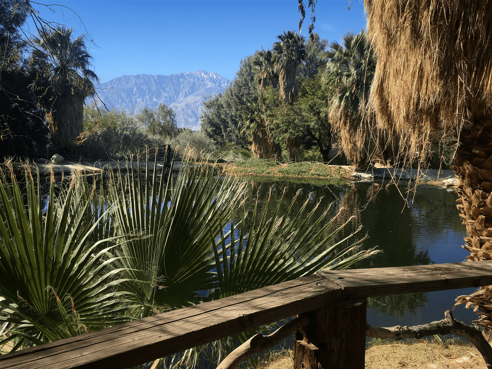 Bubbling Wells Ranch - Image