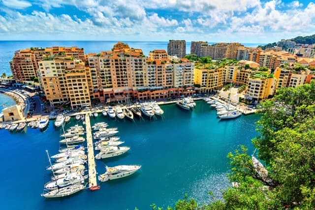 Montecarlo Image