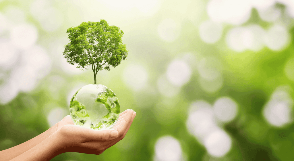 Sustainability image