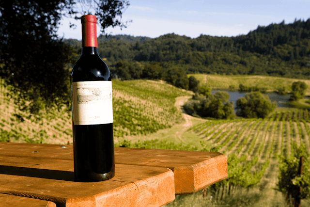 Winery & Vineyard - Image